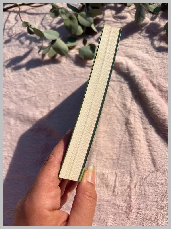 Boek "De Smaragd Ridders, Deel 1: Het Vuur in de Hemel" - Anne Robillard <3 – photo 5
